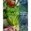 imageiDOO Indoor Plant Food 400ml in Total Water Soluble AllPurpose Concentrated Fertilizer for Hydroponics System Potted Houseplants