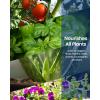imageiDOO Plant Food 70 oz 2 Liter AllPurpose Water Soluble A ampamp B Nutrients Liquid Concentrated Hydro Garden Fertilizer for Hydroponics System Indoor Potted House Plants Flowers Vegetable