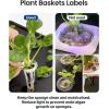 imageiDOO 102Pcs Seed Pot Labels Sticker PVC Round Peel and Stick Hydroponic Garden Label Plant Grow Basket Label